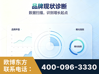 乌鲁木齐-品牌现状诊断