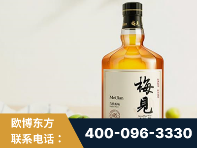 乌鲁木齐-梅见青梅酒